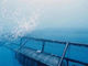 2.5mm-3mm Polyester-Draht-Offshorefischernetz für die Aquakultur-Landwirtschaft