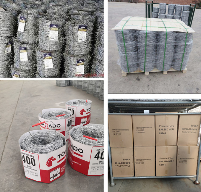 Niedrigpreis Concertina Hot Dip Galvanized Rasier Stacheldraht 3