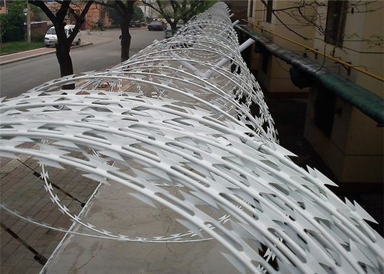 Querart-und Eisen-Draht-materieller Soemziehharmonika-Rasiermesser-Draht-Antirost 10m/Roll