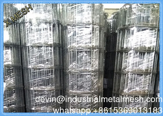 ASTM 1/8-4 Zoll verzinktes PVC-beschichtetes Edelstahl-Schweißgitter