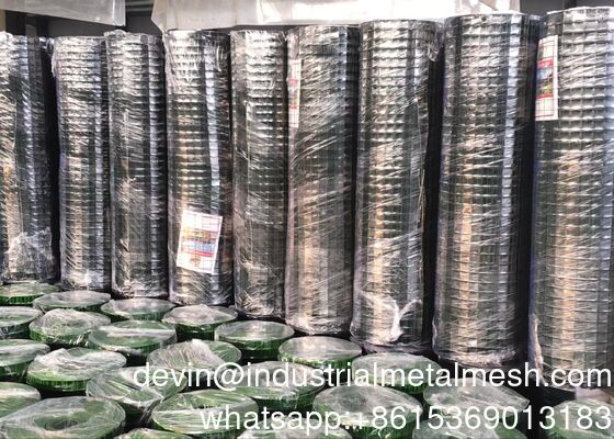 Feuerverzinkter/Edelstahl/Schwarzer Draht Schweißgitter