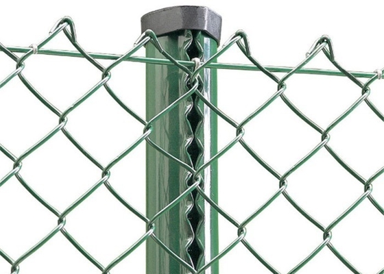 Galvanisiertes PVC beschichtete Diamond Mesh Wire Chain Link Fence-Rolle