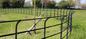 Schirm-PVC der hohen Qualität 50x200mm beschichtete Berufsv faltet 3d geschweißten gebogenen Draht Mesh Metal Panel Garden Fence
