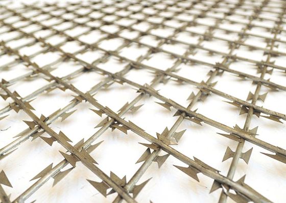 High Security Welded Razor Wire Mesh Fence Galvanized Cross Razor Mesh
