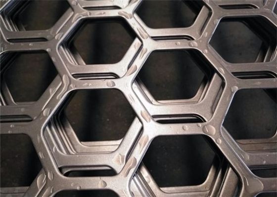 Duplex-Qualität Edelstahl Hexagonal Perforierung Metallplatte Aquakultur und Salzwasser