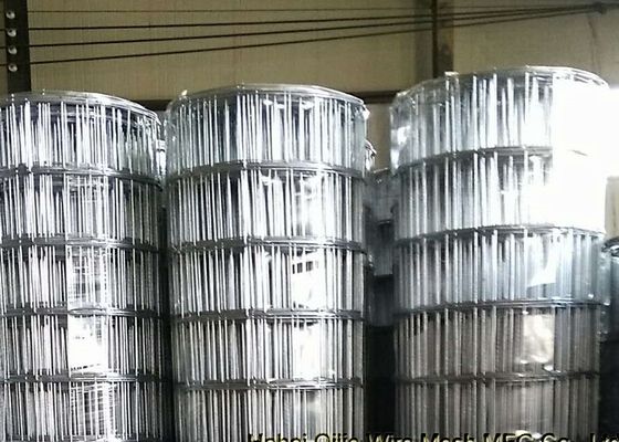 öffnender Schwarzes geschweißter Maschendraht des 3mm Drahtdurchmesser-15cm für südamerikanischen Markt