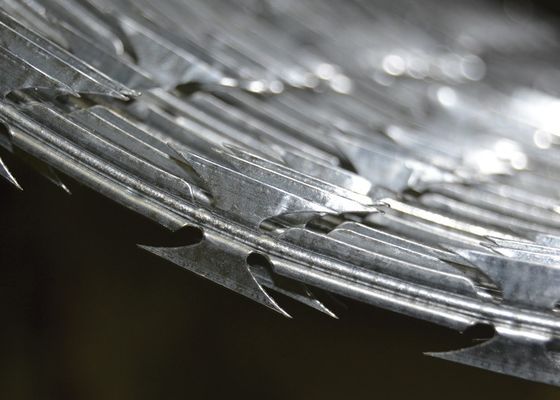 Verzinkte Stacheldraht Sicherheitswache Edelstahldraht Rasiertraht