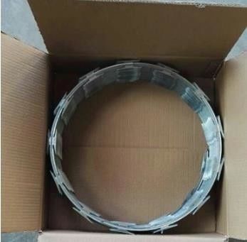 Cbt-65 Edelstahl Verzinktes Stahl PVC beschichtet Sicherheits Rasierdrahtnetz