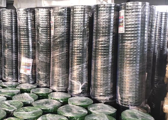 SGS 3/4X3/4 Grün farbiges PVC beschichtete geschweißten Draht Mesh Rolls für Geflügel