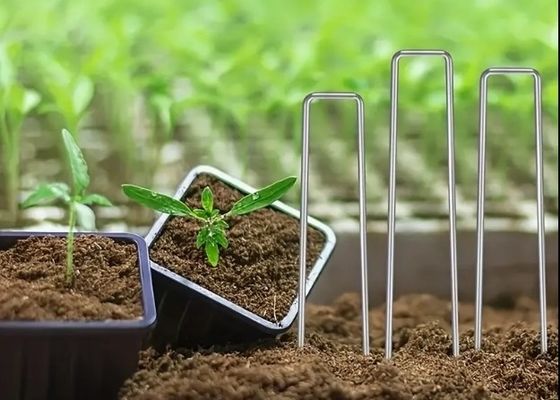 Insektennetz Festsetzen Peg Rasen Sicherung SOD Staples Galvanisierter Stahl Garten Nagel
