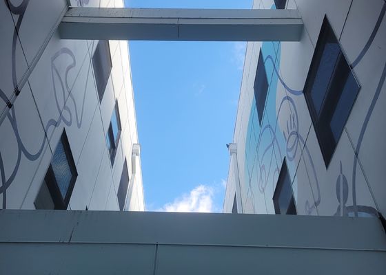 Drahtseil Mesh For Protection And Safety des Balustraden-Antikorrosions-Edelstahl-316