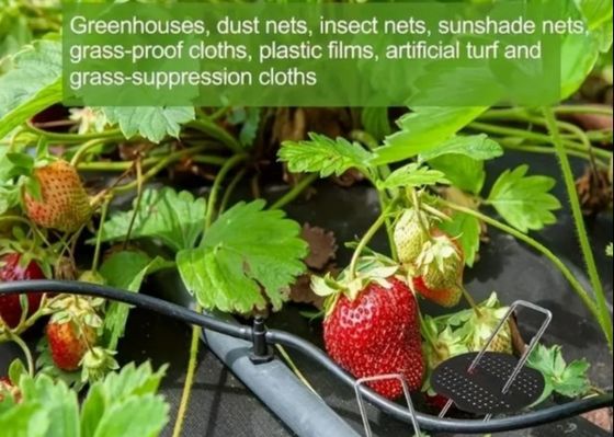 Hot Dip Galvanized U-Typ Gartengras Rasen Rasen Stapelrasen Nagel 9 Gauge Draht Durchmesser