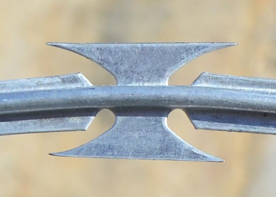 Ziehharmonika-Durchmesser des Rasiermesser-Bto22 der Spulen-450mm mit Stacheln versehen