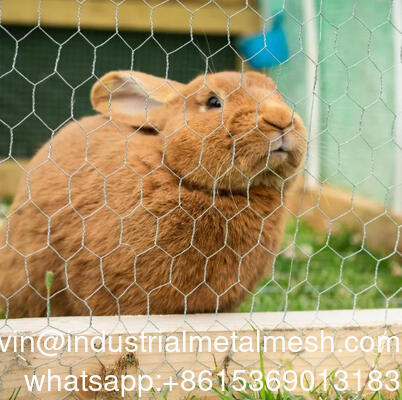 4 Zoll offenes Sechseckengitter für Gartenzaun