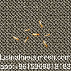 AISI 304 316 316L Termitenbeständiges Edelstahl-Gewebe
