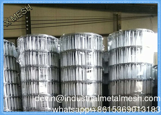 ASTM 1/8-4 Zoll verzinktes PVC-beschichtetes Edelstahl-Schweißgitter