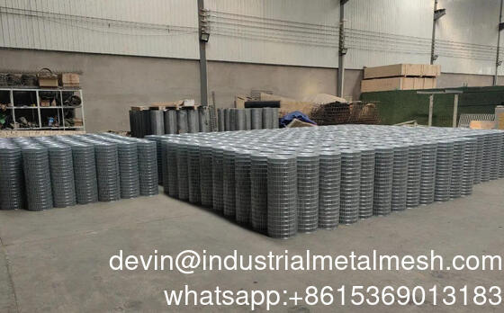 Hot Dip Rouleau De Grillage Galvanisiertes Stahldrahtnetz Schweißnetz Zaun 1/2''1/4''Galvanisiertes Drahtnetz