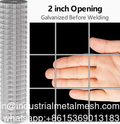 Dauerhaftes geschweißtes Drahtnetz für industrielle und kommerzielle Verwendung