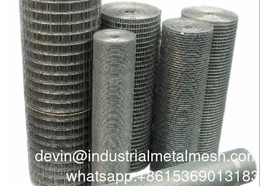 Hot Dip Rouleau De Grillage Galvanisiertes Stahldrahtnetz Schweißnetz Zaun 1/2''1/4''Galvanisiertes Drahtnetz