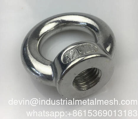 Stainless Steel Eye Nut for Outdoor Lifting Nad Loading