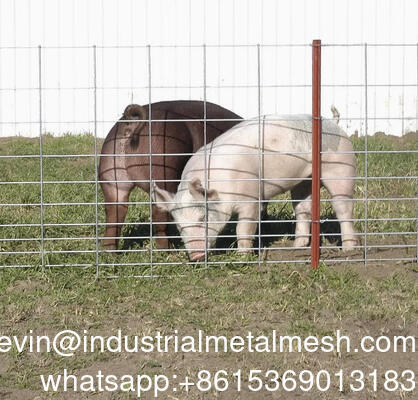 Galvanisierte 6 mm Gartenzaun geschweißte Drahtnetzplatte