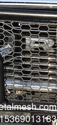 Fabrik-Anpassung von Perforierten Metallnetzen/Punching Hole Netting