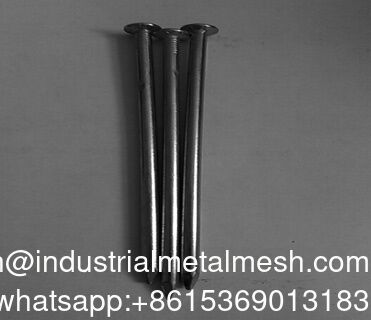 Export Grade 6D-8d-10d Q195/Q235 Common Nails Bright Galvanized Vinyl Coated Wire Nails