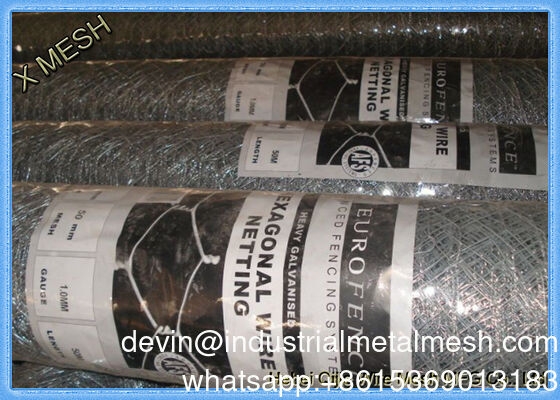 Weaving Wire Netting mit sechseckigen Löchern für Hühnergänse