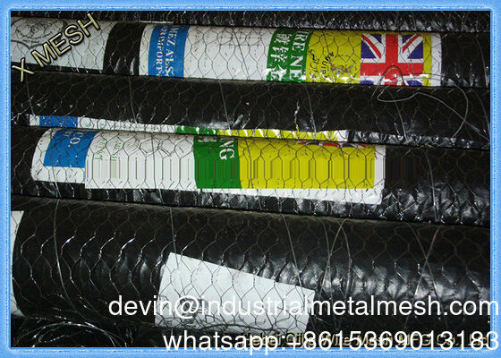 Weaving Wire Netting mit sechseckigen Löchern für Hühnergänse