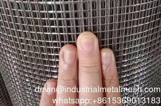 Galvanized Welded Metal Mesh Panel for Fence Panel for Construction for Bird Cage