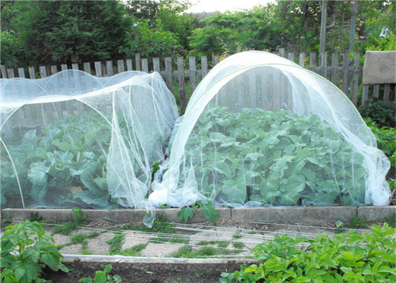 Gartenbau Hdpe Fliegenschirmnetz Landwirtschaft Anbau Insektenschutznetz 40 Mesh