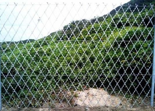 3 × 6 "IN-Aperture geschweißtes Rasierkarton aus galvanisiertem Eisendraht