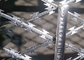 Heißer eingetauchter galvanisierter Rasiermesser-Stacheldraht für Gefängnis schützen Zaun