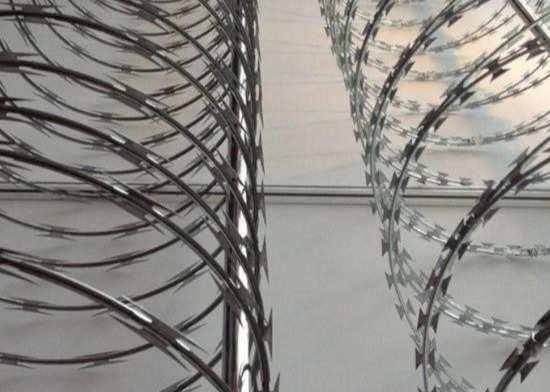 Edelstahl-Sicherheits-Antiaufstiegs-Blatt-Stachelgefängnisziehharmonika-Rasiermesserdraht
