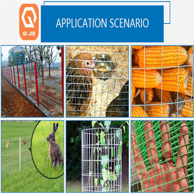 Galvano geschweißter galvanisierter Vogelkäfig schweißte Eisen-Draht Mesh Multifunctional