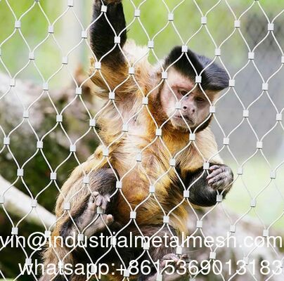 Gewebtes Diamantdrahtseilnetz für Zoozaunschutz