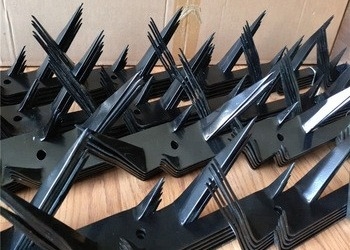 Schwarze Energie beschichtete galvanisierte Stahlvogel-ODM-Antiaufstiegs-Sicherheits-Spitzen