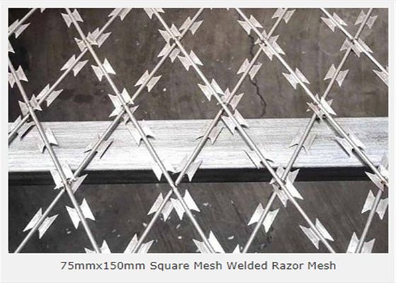 Silbernes galvanisiert schweißte Öffnung des 3.2mm Rasiermesser-Maschendraht-75x150mm